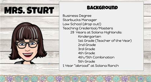 About the Teachers